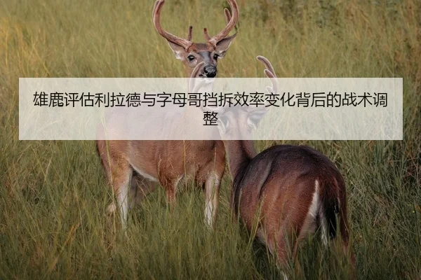 雄鹿评估利拉德与字母哥挡拆效率变化背后的战术调整