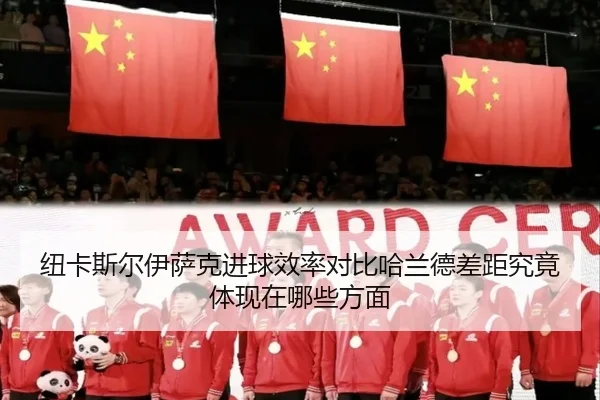 纽卡斯尔伊萨克进球效率对比哈兰德差距究竟体现在哪些方面